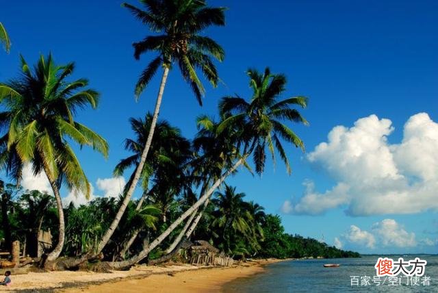 消失了13万年的生物，为何会突然原地复活？科学家也感到费解