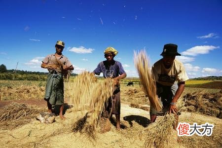 东南亚古代第一个农民来自中国南方，DNA碎片提供确凿证据