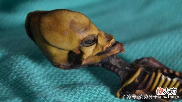 外星人可能已经毁灭了？科学家提出大胆猜想，人类需要提高警惕