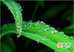 癸水生于巳月