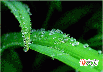 癸水生于巳月