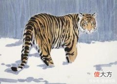 【十二星座】12生肖中，三生肖好运连续上演，八到九月顺利致富，啥也不操心