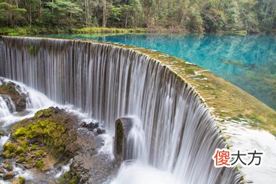 癸水生于亥月