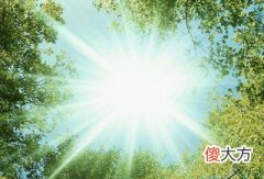 午火日格的性格特征