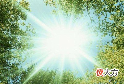 午火日格的性格特征