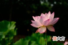 算命口诀密旨