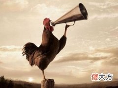 属鸡人五行性格命运分析