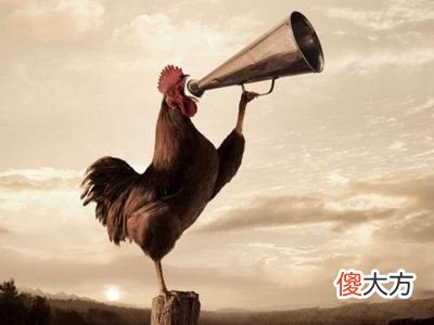 属鸡人五行性格命运分析