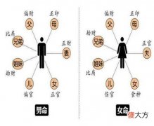 四柱论六亲法则