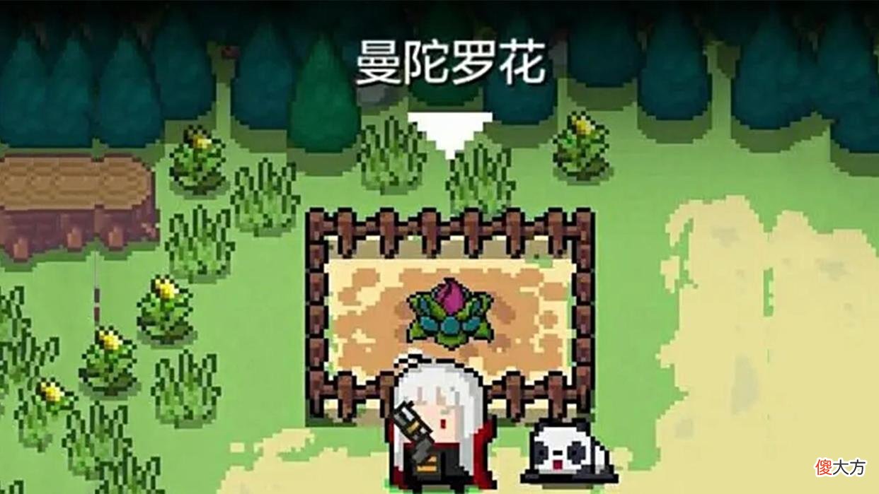 【游戏世界】元气骑士：公认超越红武的5个种子，别看种子小，可有大用处！