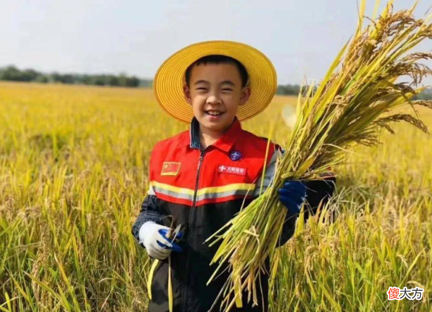 李子柒与袁隆平出现在同一张试卷上，家长不满：她何德何能？