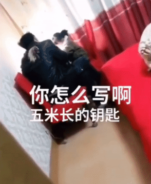 德国禁止上早教课，却培养出了众多数学天才，他们是怎么做到的？