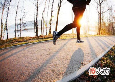 八字之健康仪表