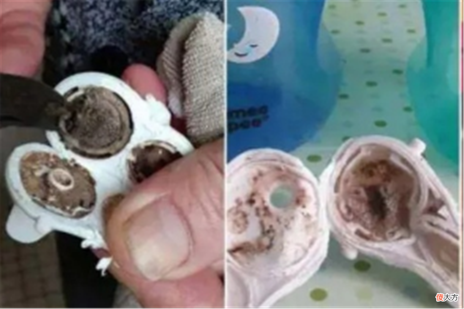 这4种孩子的常用物品，看似干净里面卫生却不过关，比抹布还脏