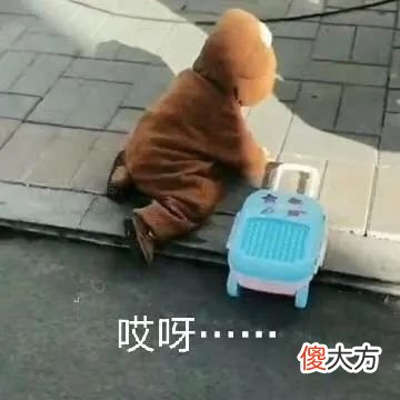 孩子景区大小便，家长不教育反骂哭家长，请好好反省！