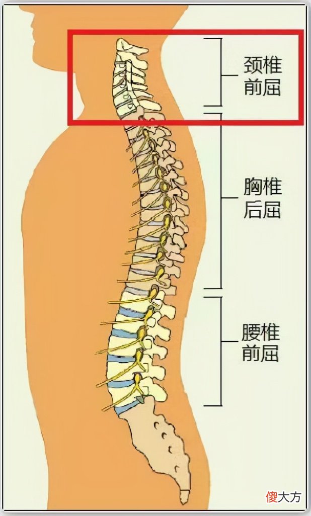 从小给孩子睡枕头，会给孩子身体带来伤害，附枕头正确挑选方式