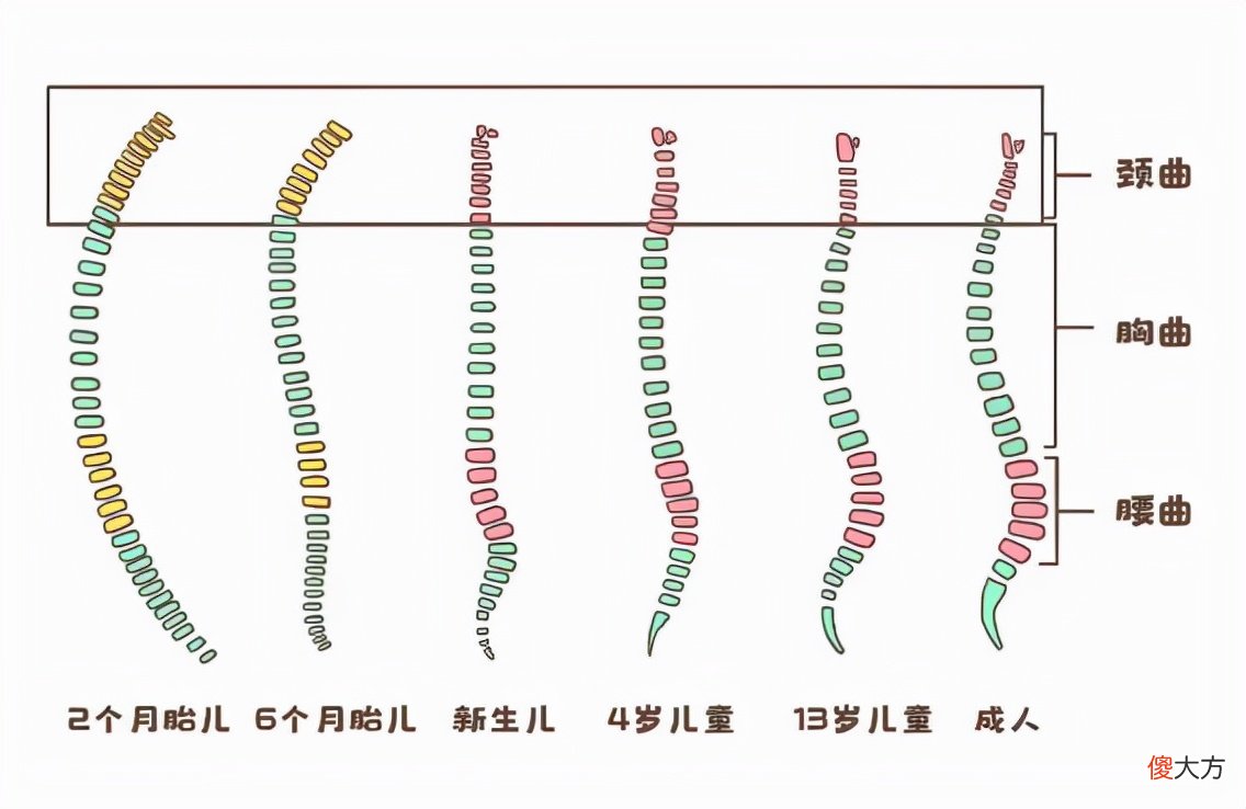 从小给孩子睡枕头，会给孩子身体带来伤害，附枕头正确挑选方式