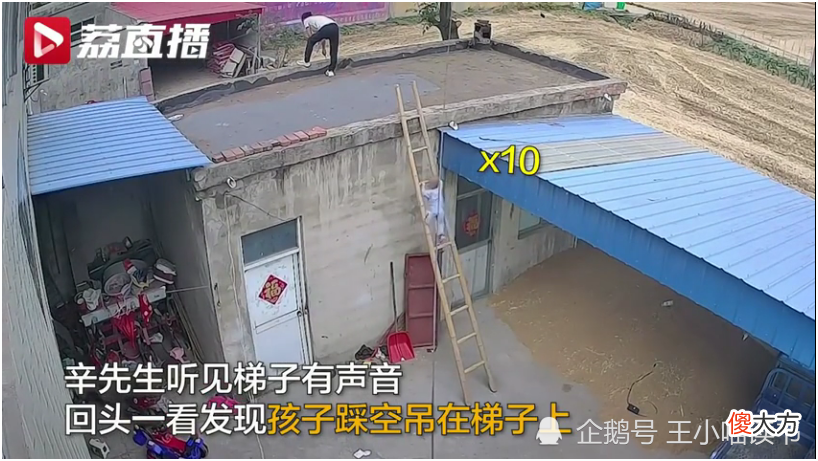 犯罪心理学家李玫瑾教授说:人人养娃盼聪明,但聪明儿女很难养
