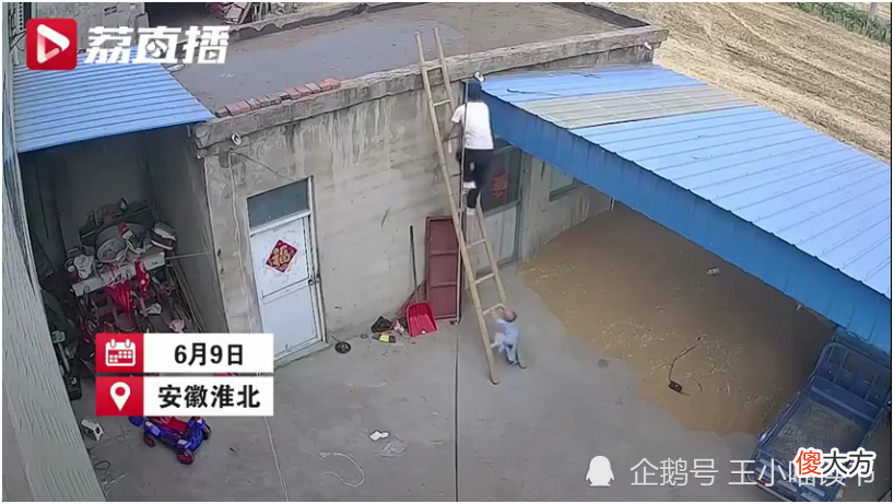 犯罪心理学家李玫瑾教授说:人人养娃盼聪明,但聪明儿女很难养