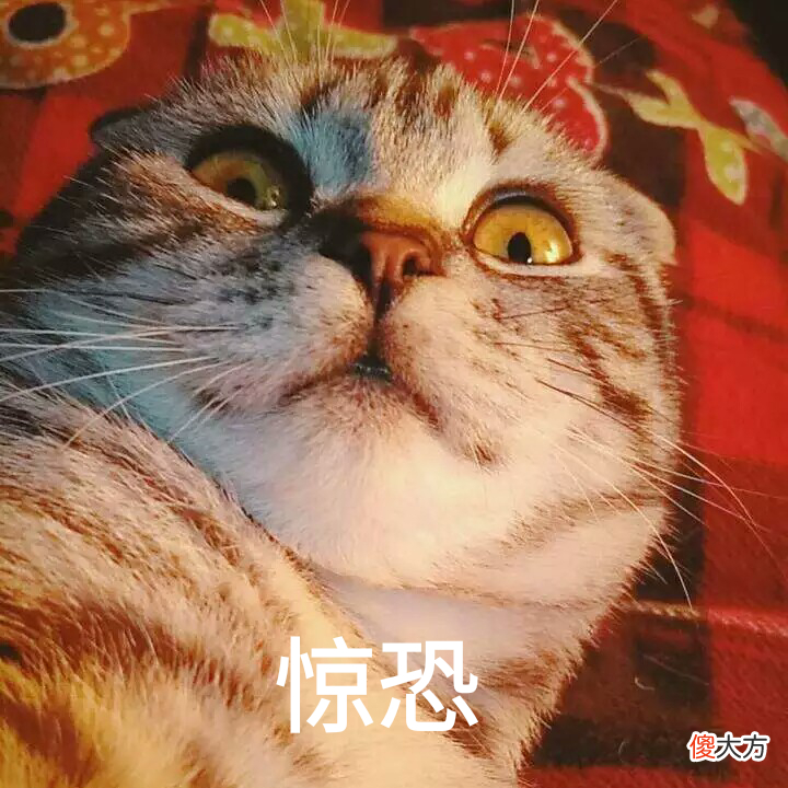 【游戏迷】GOG自打脸？《杀手：年度版》DRM遭玩家差评，GOG：不满意就退款
