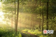 05时至07时 卯时出生的人命运
