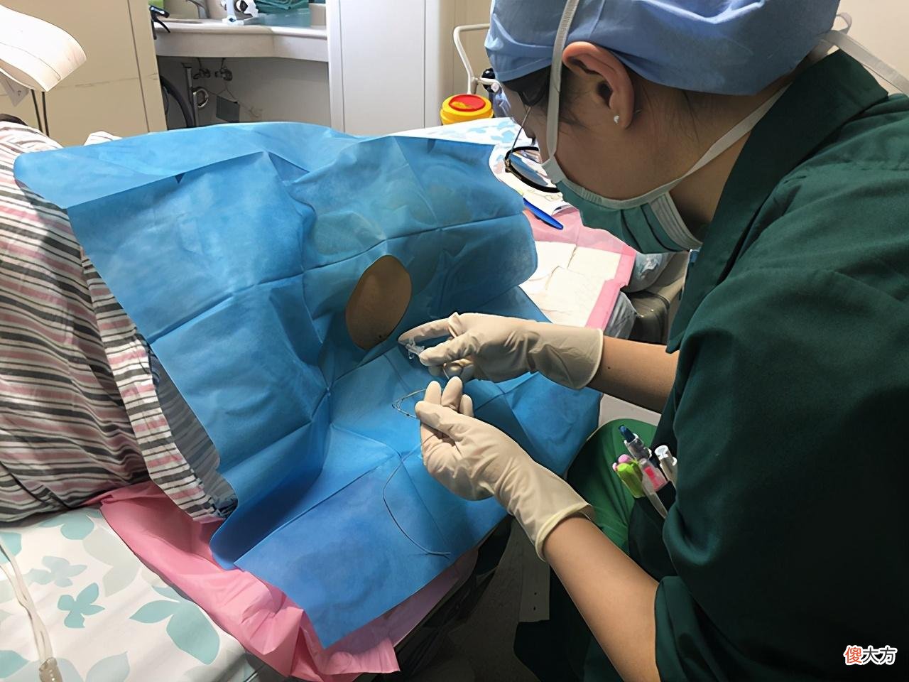 属猪比属鼠命好？猪年夫妻扎堆生娃，却不知将来要面临这3个难题