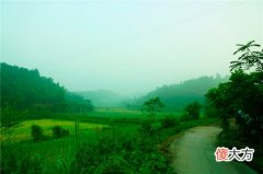 07时至09时 辰时出生的人命运