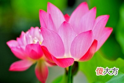 2020年三伏天具体时间,2020三伏天适合开业的日子