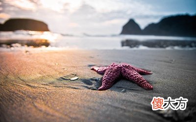 三伏天可以进补吗？2020年三伏天提车吉日有哪些？
