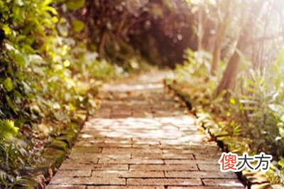 三伏天温度有几度？夏至开始如何计算三伏天？