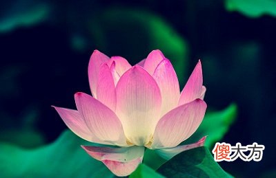 2020三伏天时间什么时候结束?三伏天要怎么养生?