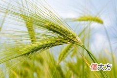 三伏天有什么作用？2020年三伏天时间表解析