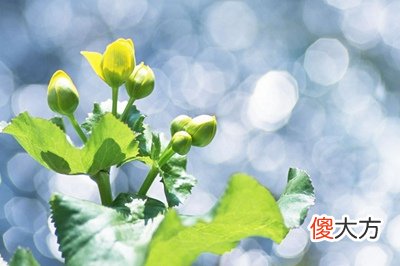 三伏天有什么作用？2020年三伏天时间表解析