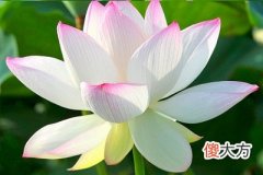 三伏天入伏从哪天开始？2020年三伏天出行吉日