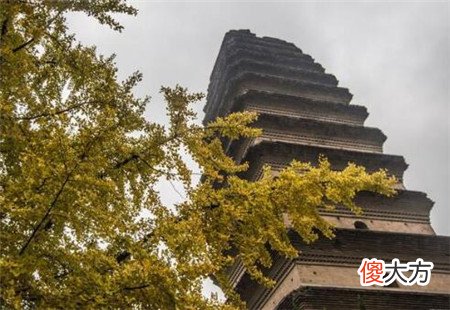 陕西有座奇塔，1300年经历70多次地震，裂开还会“自我愈合”