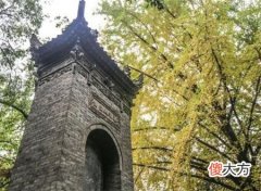 陕西有座奇塔，1300年经历70多次地震，裂开还会“自我愈合”