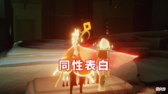 【游戏世界】光遇：男玩家寡疯了，被同性表白后，居然同意组CP？