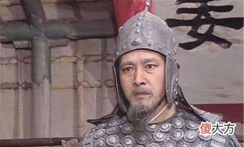 【爱历史】洮西之战：弱蜀，你为何而战？