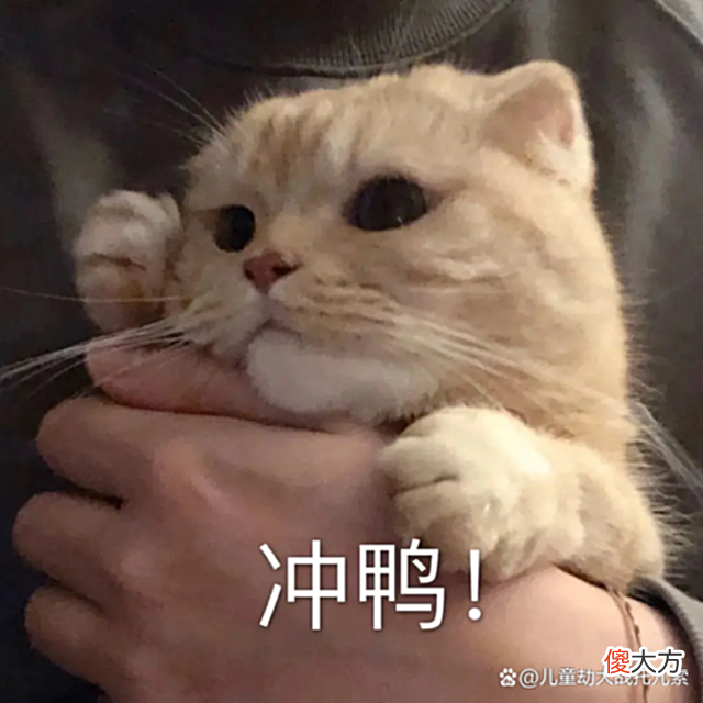 【游戏迷】逆水寒手游竞争对手为其发声：玩了感觉太猛，甩国内游戏一个时代