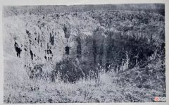 【爱历史】东周天子财政困难，葬父还得向人求金