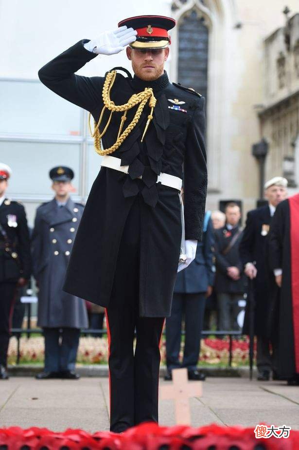 【历史故事】哈里“如愿”被英王室边缘化，参加菲利普亲王葬礼面临一系列尴尬