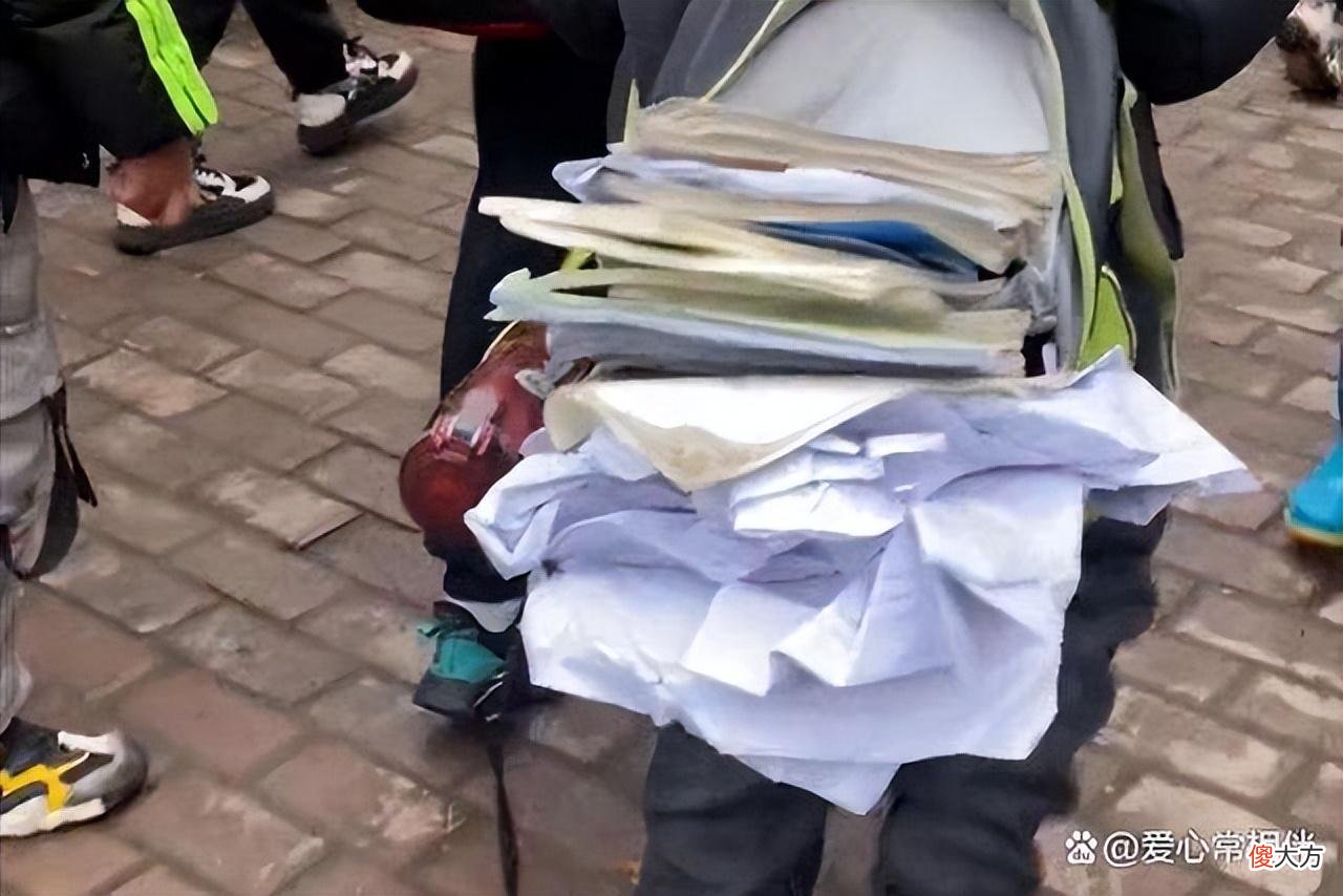 如何给小学生挑选书包？好看还实用的书包有哪些？选购书包必看
