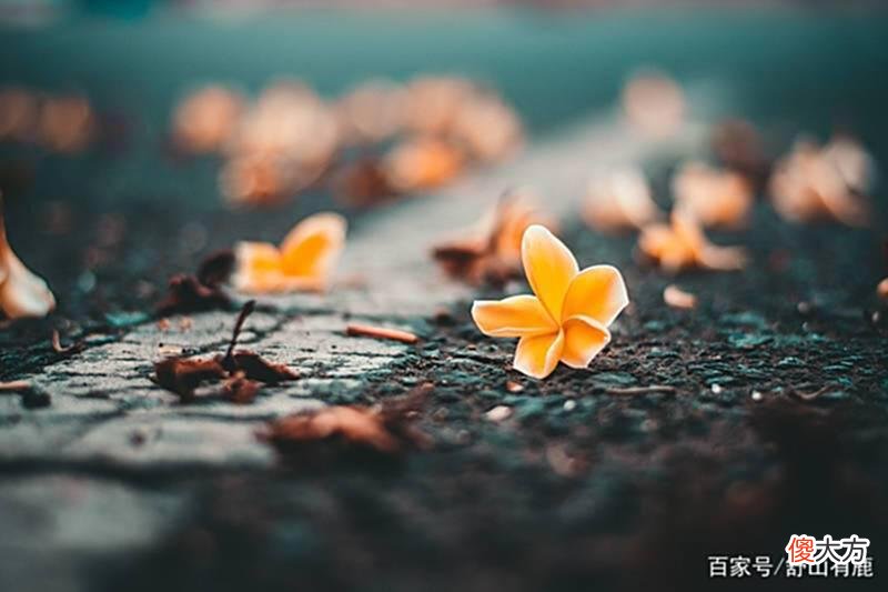 【爱历史】原来,你的“命”,可能在你诞生的那一刻,就无法改变了