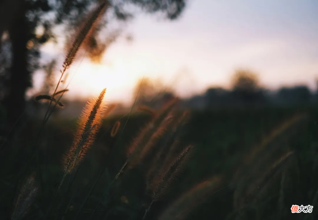 【历史故事】千古情圣：一生只爱一人，1800年前他就做到了