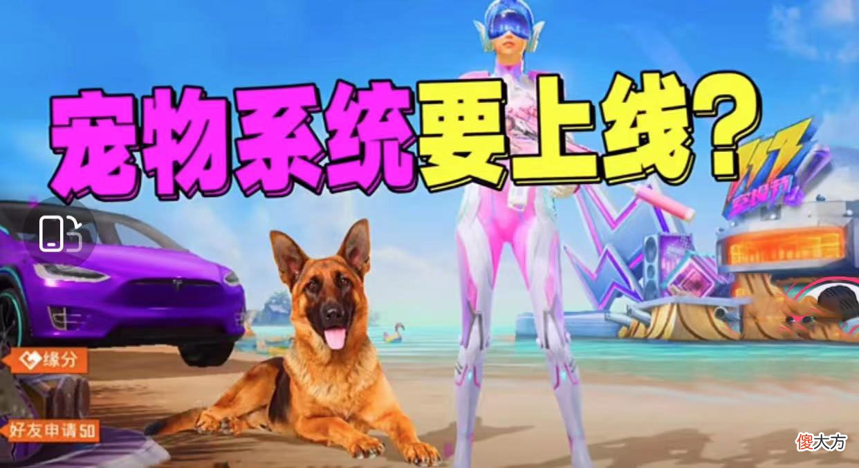 【游戏世界】“吃鸡”宠物系统新消息！新型宠物被大神曝光，或后期上线！