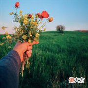 十二星座女孩图片卡通