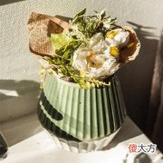 梦见树子是什么意思