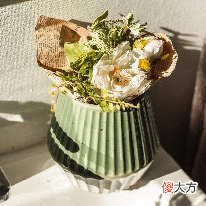 梦见树子是什么意思