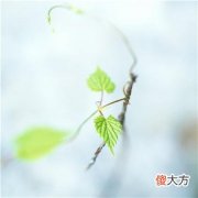 梦见狗咬右手是什么意思