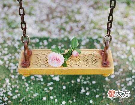 梦见白龙从天上掉下来是什么意思